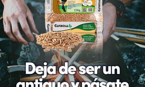 PÁSATE al PELLETS y deja de ser antiguo