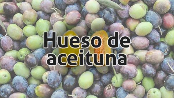 Venta de hueso de aceituna