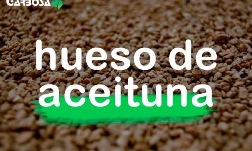 Venta de huesos de aceituna